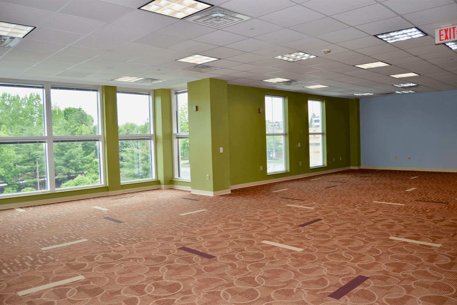 Large office space with bright green and blue walls and large windows