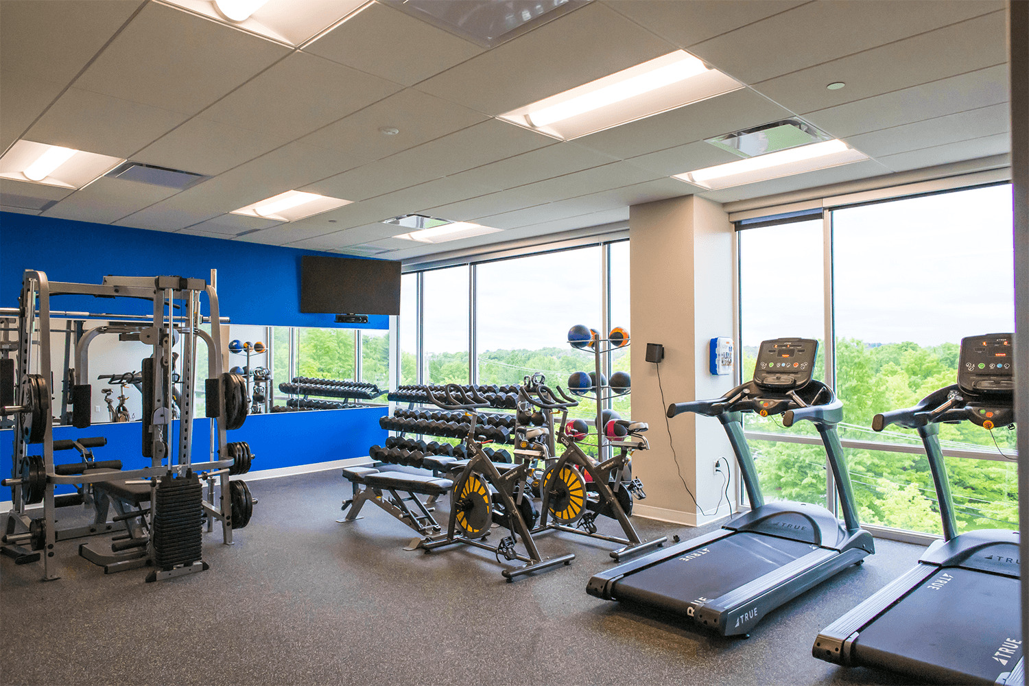 gym with treadmills, and weights, with floor-to-ceiling windows
