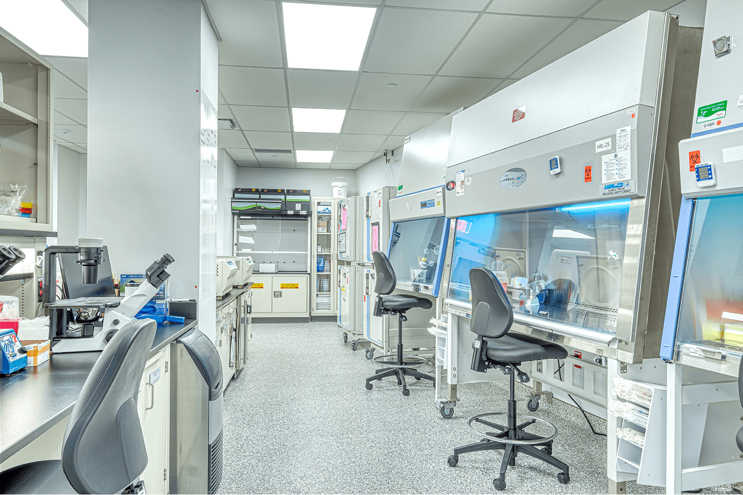 wet lab workspace with desk chairs and lab equipment