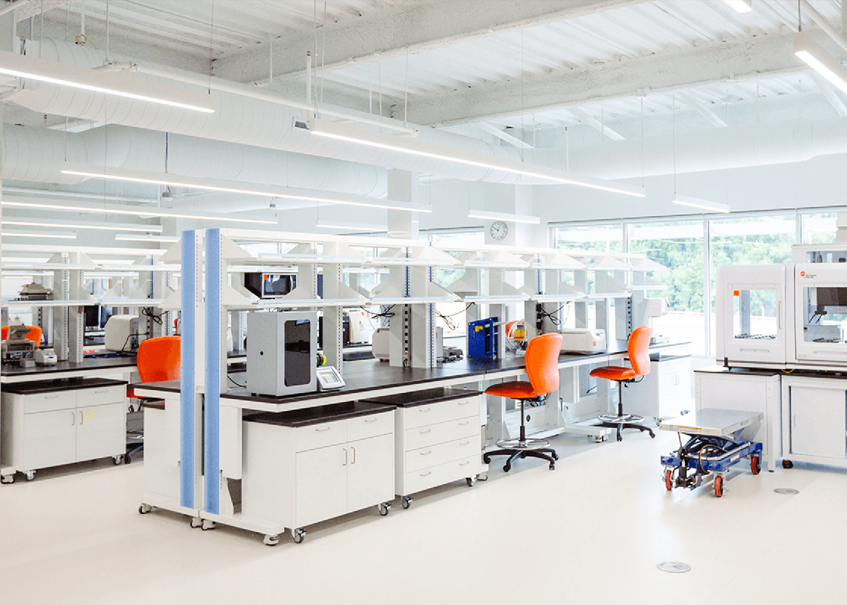 Bright and clean wet-lab space