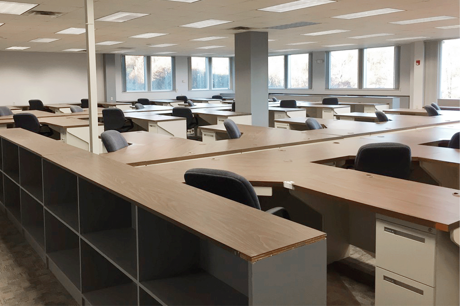field of office cubicles